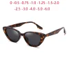 lunette de vue leopard