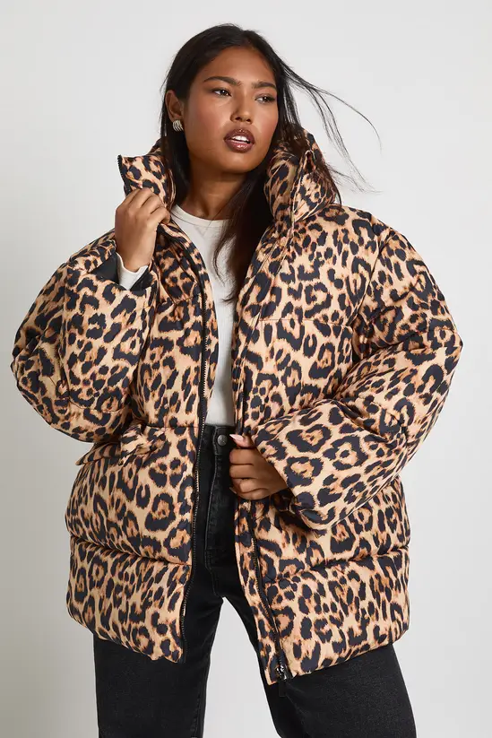 leopard everyday