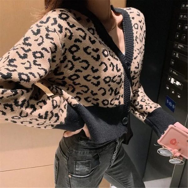 Pull Léopard Femme Col V