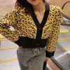 Pull Léopard Femme Col V