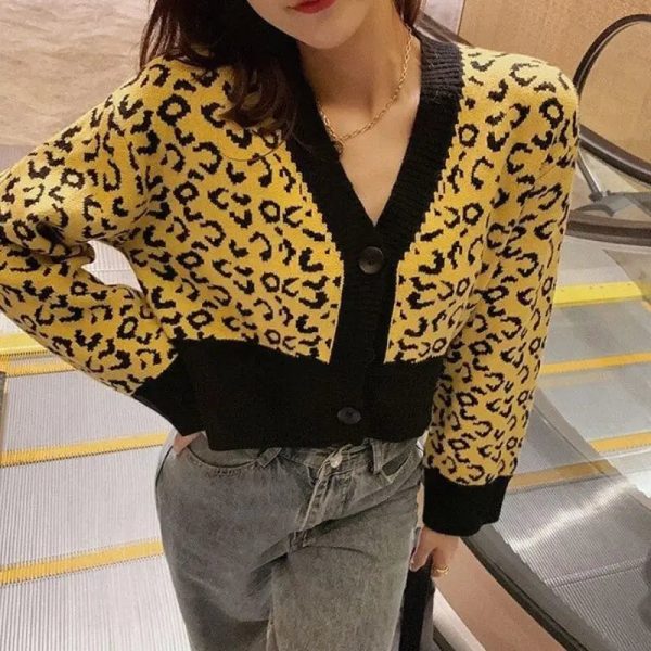 Pull Léopard Femme Col V