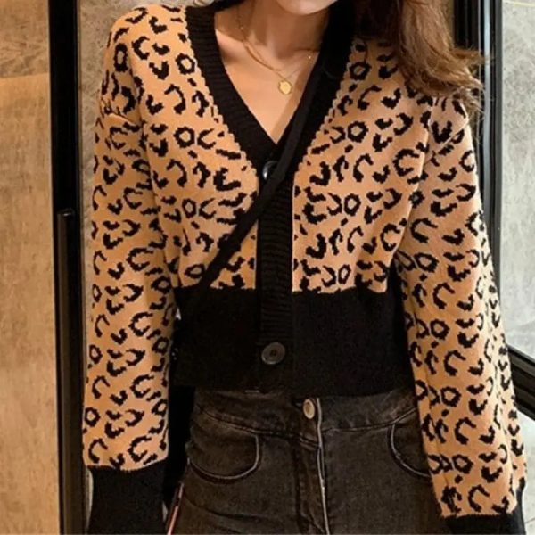 Pull Léopard Femme Col V Marron