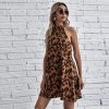 Robe Léopard Classique Marron