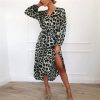 Robe Léopard Mi Longue Grise