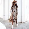 Robe Longue Imprimée Léopard